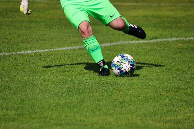 东男篮能够 东男篮能够