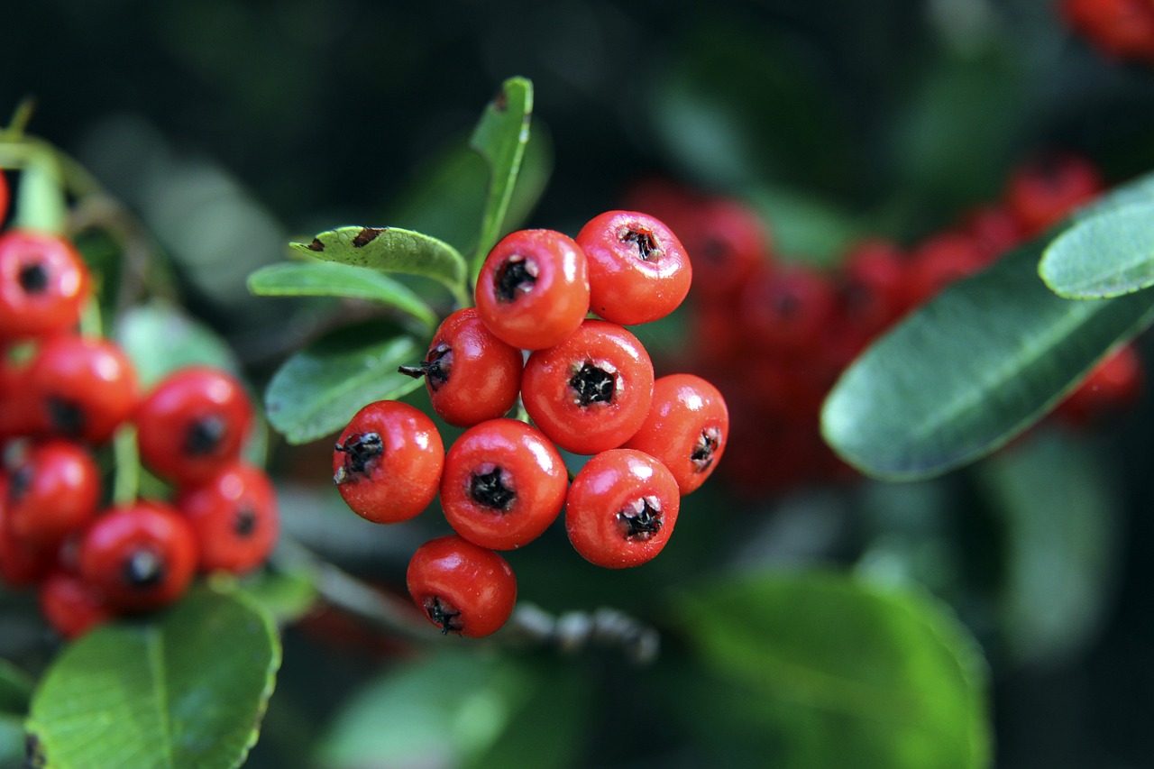 潘頓取得1814場頭馬 成為香港累積最多頭馬騎師.