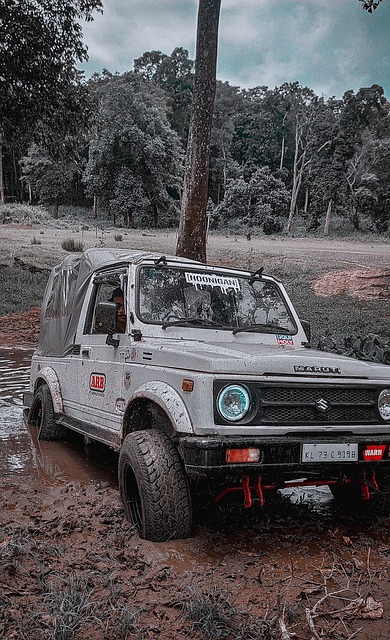 车在雨中坚 车在雨中坚